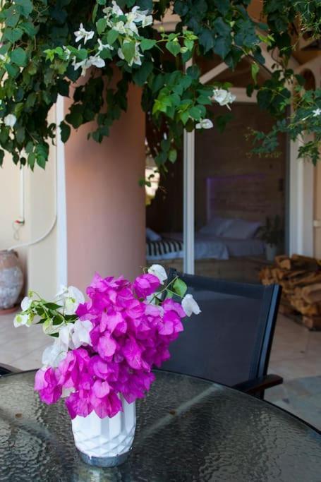 Lenico Beachfront Suites Agia Pelagia Eksteriør billede