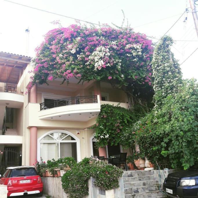 Lenico Beachfront Suites Agia Pelagia Eksteriør billede